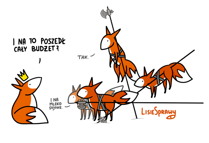 Nie ma to jak przepalić budżet na głupoty. Z drugiej mieć, a nie mieć…