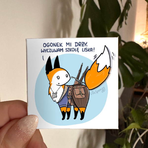 Magnes Szkoła Liska